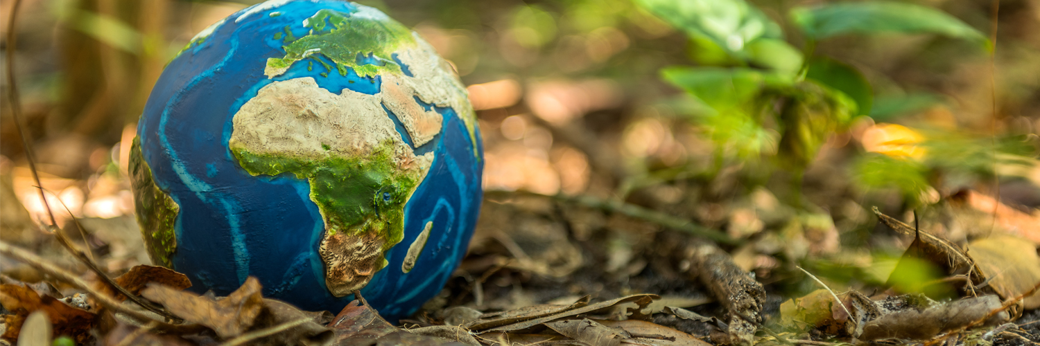 U.S. Environmental Protection Agency