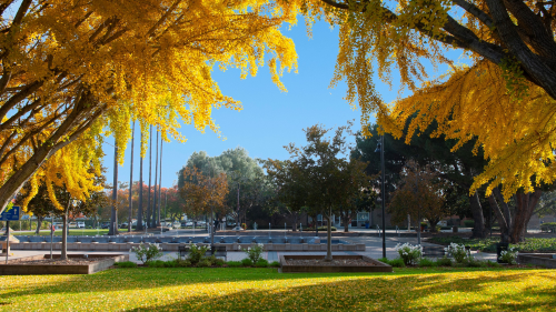 City of Santa Clara Reserve Firefighter - Volunteer