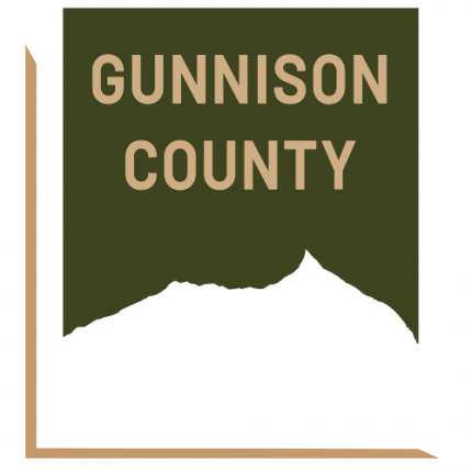 Deputy Finance Director
