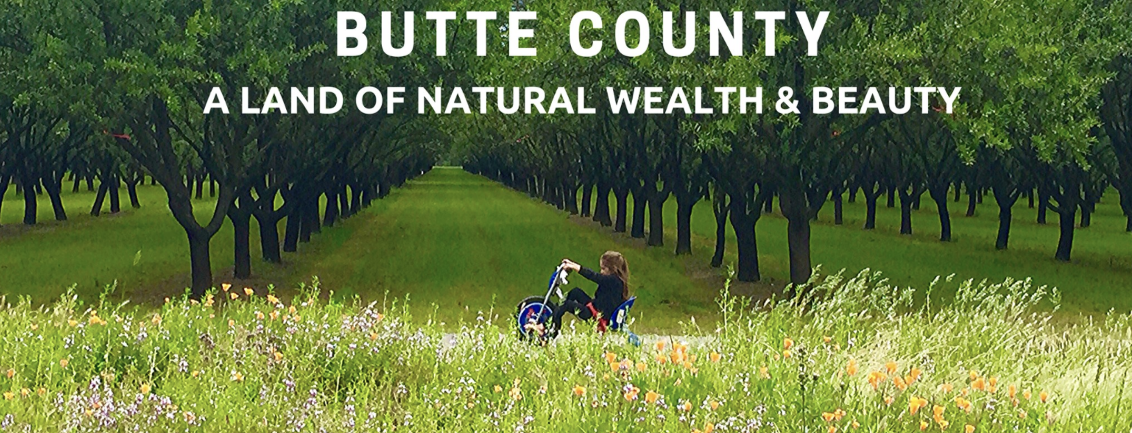 Butte County