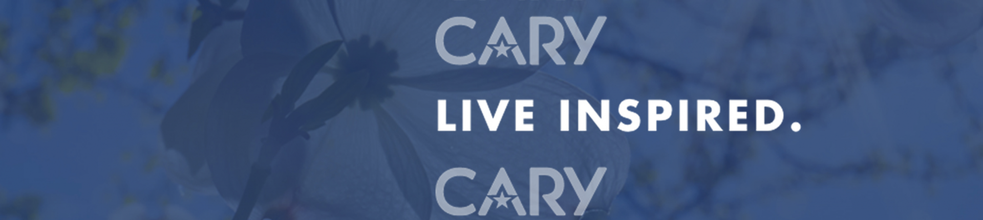 Town of Cary