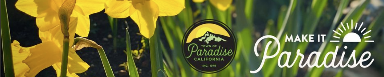 Town of Paradise