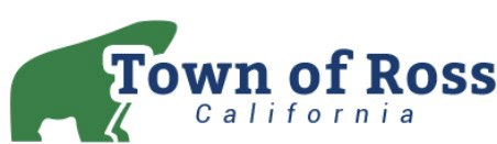 Public Works Director/ Town Engineer