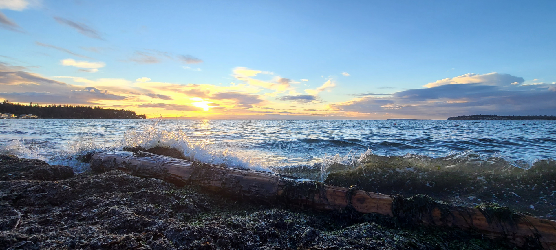 Whatcom County