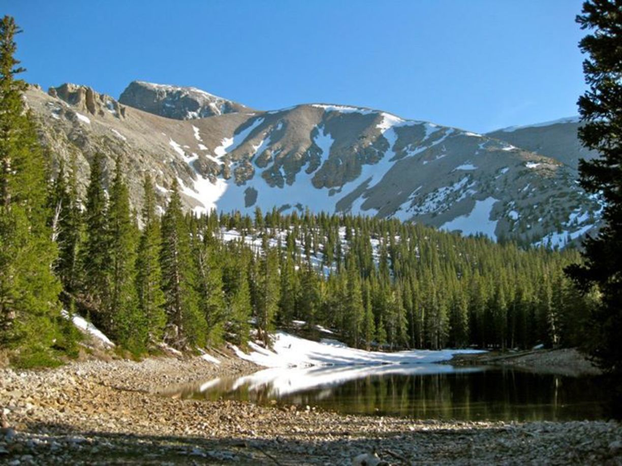 White Pine County
