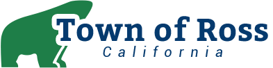 Public Works Director
