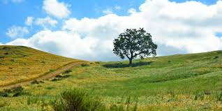 City of Thousand Oaks