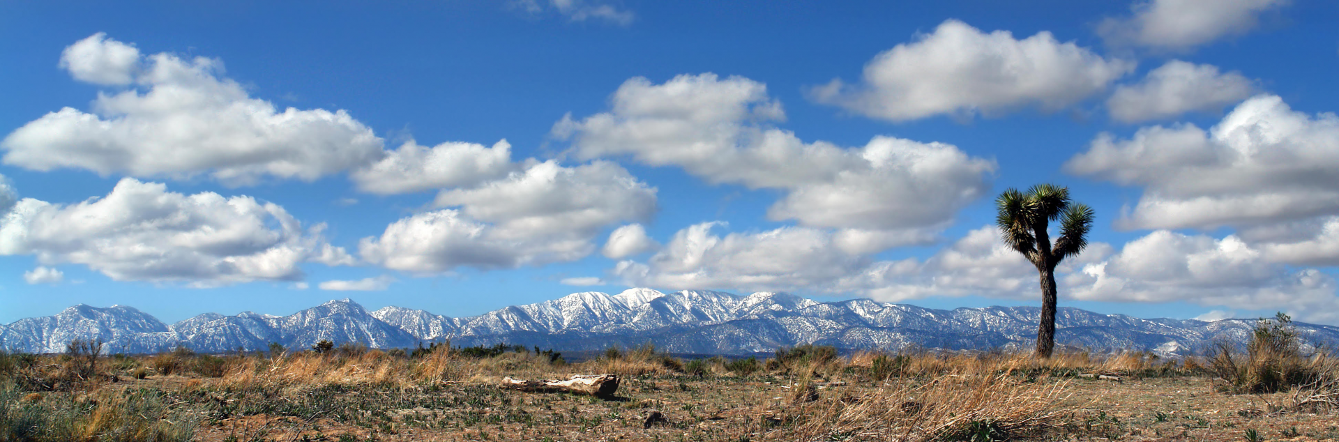 City of Hesperia