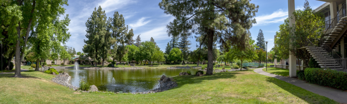 Part-Time Lecturer(s) Pool in Ethnic Studies