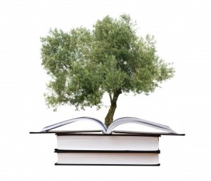 An open book sits on top of two closed books, with a large green tree growing out of the open book's pages, symbolizing the growth and wisdom that career advice can provide against a plain white background.