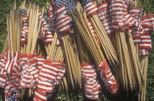 A large pile of small American flags with wooden sticks lies on the grass. The flags, likely honoring veterans, are tightly bundled together, showcasing the red, white, and blue colors of the American flag.