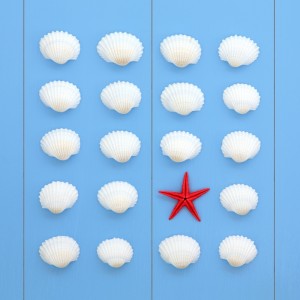 Eighteen white seashells arranged in a four-by-five grid with a single red starfish placed in the second column of the last row, all set against a blue wooden background, creating a picture-perfect scene that feels like it’s hiring summer vibes.