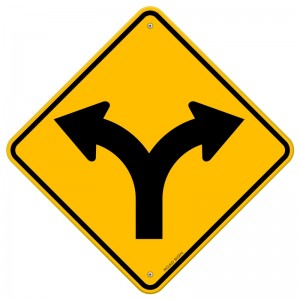 A yellow diamond-shaped road sign with a black Y-shaped arrow indicates that the road splits into two directions, left and right—much like the choices one faces during a gap year.