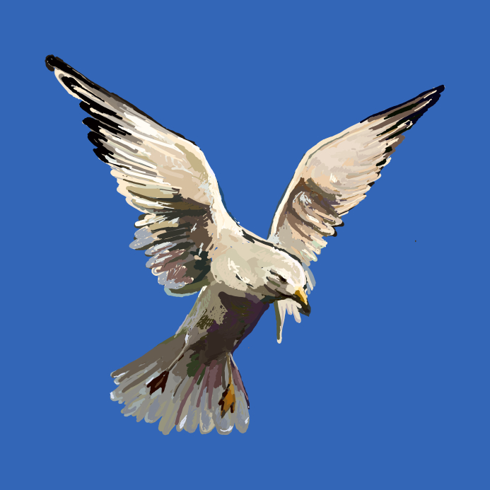 freedom.khrapov