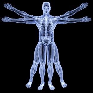 An anatomical illustration of a human body with multiple transparent overlays, showing muscle structure and skeletal system. The figure is in a Vitruvian Man-like pose with arms and legs extended at different angles, set against a black background, highlighting the importance of public health education.