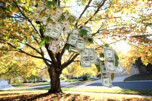 A tree with branches full of U.S. dollar bills, creating the illusion of money growing on the tree, stands as a stark contrast to the reality of underemployment. The background shows a suburban neighborhood in autumn, with sunlight filtering through green and yellow leaves.