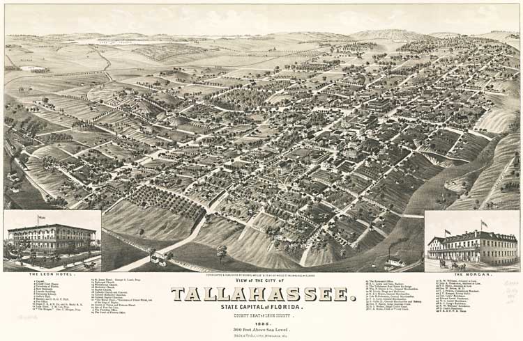 tallahassee