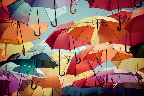 Is an Umbrella Career Right for You?