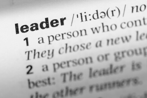 Of Leaders and Teams