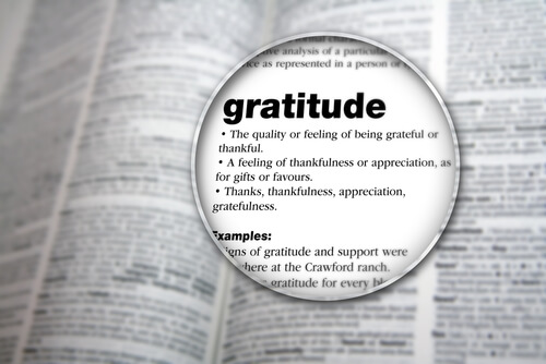 Ultimate Gratitude