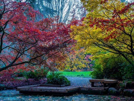 King County