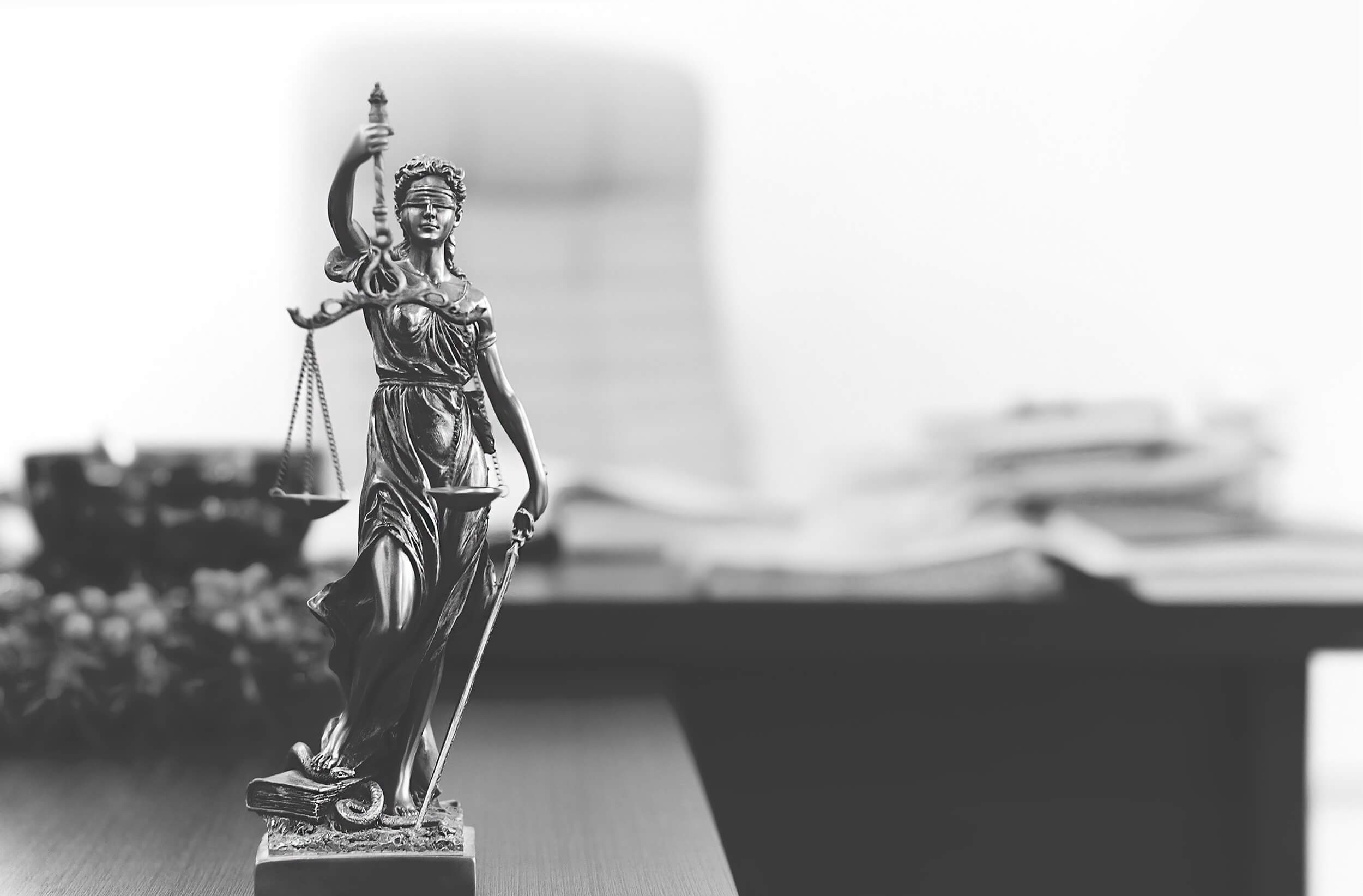 Government lawyer shop