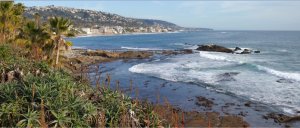 A coastal scene with waves crashing on rocky shore, lush green plants in the foreground, and a distant view of buildings and hills under a partly cloudy sky.