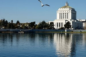 A large, white, historical building with a green dome sits next to a water body, reflecting in the calm water. Trees and other buildings are in the background, and a seagull is flying in the clear blue sky.