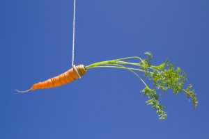 A single carrot with green leafy tops is tied to a white string, hanging in front of a clear blue sky. The carrot is fresh, and its vibrant orange color contrasts starkly with the deep blue background—tempting fringe benefits dangled just out of reach.
