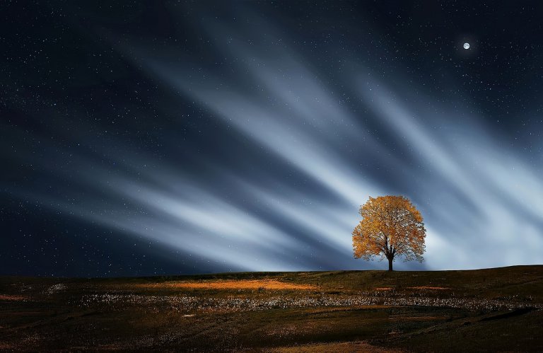A lone tree stands illuminated under a striking night sky, like a sentinel among leaders. Light streaks cut through a field of stars, creating a dramatic backdrop. The moon is visible in the top right corner, casting a gentle glow over the serene landscape.