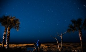 A person in a blue jacket stands near a body of water at night, gazing up at a star-filled sky. Two tall palm trees frame the scene on the left, while leafless branches of another tree stretch on the right. The landscape, bathed in serene, dark hues, evokes a sense of looking forward to new horizons.