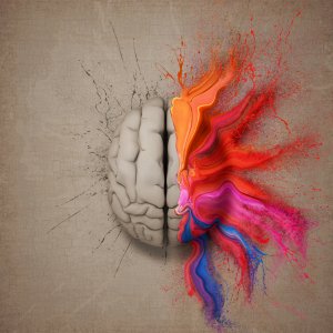 An artistic representation of a brain split in half. The left side appears realistic with grayscale tones, while the right side bursts into vibrant, colorful, abstract paint splashes—symbolizing the creativity and imagination that successful people often harness. The background is a textured beige.