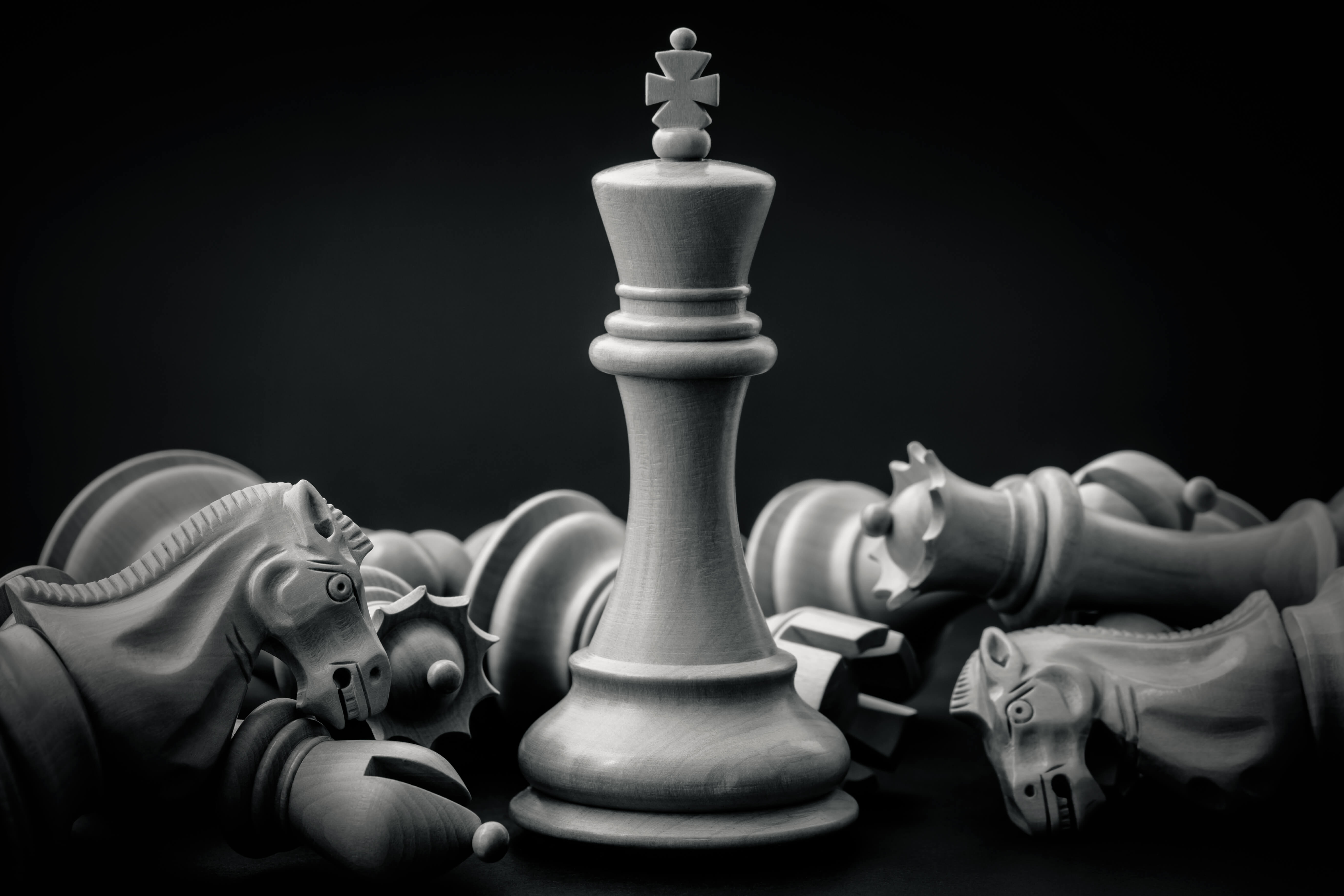 large leadership