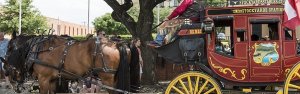 A red and yellow horse-drawn carriage is stopped on a cobbled street under a large tree. The carriage has a sign for Stockyards Station and is adorned with decorative motifs. Two brown horses are harnessed to the carriage, while people stand nearby.