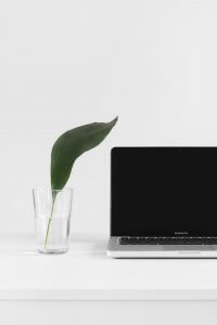 Minimalist setup featuring a MacBook Pro with a blank screen on a white surface. To the left of the laptop is a clear glass of water containing a single large green leaf. The background is plain and white, reflecting a clean and modern aesthetic that complements progressive workplace culture.
