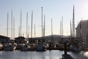 A serene marina at sunset, with sailboats docked at piers. Tall masts reach towards the sky, reflecting on the calm water. Buildings and hills are visible in the background. A clear, soft sky enhances the tranquil atmosphere.