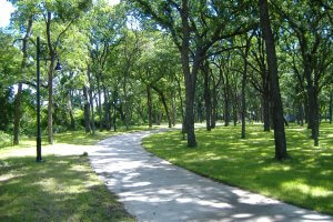 A sunlit paved pathway meanders through a lush, green park filled with numerous tall trees. Shadows of the trees dot the path, and a lamp post is visible on the left side. The scene is serene and inviting, ideal for a leisurely walk.