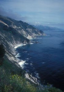 A scenic coastal view with rugged cliffs plunging into the deep blue ocean. The waves gently crash against the rocky shore. The sky is overcast, casting a calm, misty atmosphere over the landscape. Wildflowers bloom in the foreground on the cliffside.