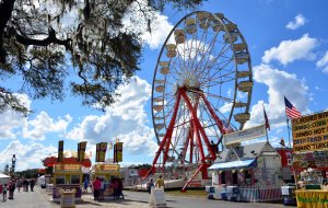 A vibrant fairground scene featuring a large Ferris wheel against a blue sky with fluffy clouds. People are gathered near food stalls selling items like jumbo corn dogs and deep-fried treats. A tree with hanging moss is in the foreground, adding a natural touch.