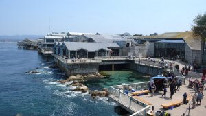 A coastal pier houses a large complex of buildings with blue roofs, likely an aquarium, beside a calm ocean. People stroll on the pier, enjoying the sunny day. Below, clear turquoise water reveals rocks and marine life.