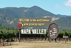 A large sign in a vineyard reads, "Welcome to this world famous wine growing region - Napa Valley - and the wine is bottled poetry." The sign features a cluster of grape decorations. In the background, there are green hills and a clear blue sky.