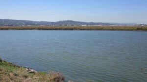 A calm body of water with a grassy shoreline in the foreground. In the distance, hilly terrain with a mix of green and brown foliage is visible under a clear blue sky. Power lines run across the middle of the scene.