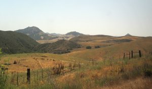 A scenic landscape of rolling hills covered in patches of grass and shrubs, with a few fences and grazing cattle. The sky is clear and bright, highlighting the varying shades of green and brown on the hillsides. Distant mountains frame the background.