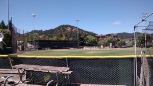 A sunny baseball field with green grass and a clear blue sky. The field features a seating area in the background, with a hill and trees behind the stands. A wooden picnic table and chain-link fence are visible in the foreground.