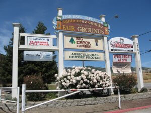A sign for the Santa Cruz County Fairgrounds featuring multiple advertisements: Fair Days from September 15-20, Big Creek Lumber, Ocean Speedway, Salsipuedes Little League, and a dog training club. The sign is surrounded by blooming white flowers.