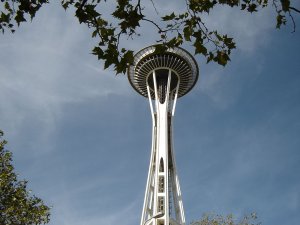 The image shows the Seattle Space Needle viewed from below. The iconic tower extends high into a clear, blue sky with a few branches of a tree framing the top edge of the image. The structure features its distinctive flying saucer-like observation deck, perfectly capturing the essence of Seattle.