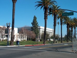 A street intersection with palm trees, a white building with classical architecture in the background, and a street sign reading "Jefferson" on the right. There's a mailbox on the corner and traffic lights overhead against a clear blue sky.