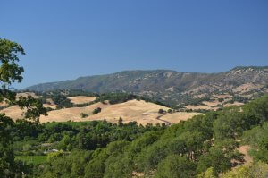 A scenic landscape shows rolling hills covered in a mix of green trees and golden grass under a clear blue sky. A winding road cuts through the hills, and the backdrop features tall mountains. The overall scene is serene and picturesque.