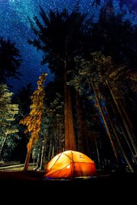 A brightly lit orange tent is pitched in a forest at night, surrounded by tall trees. The sky above is filled with countless stars, creating a stunning backdrop. The scene evokes a sense of peaceful solitude and connection with nature.