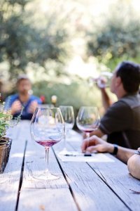 Two people are seated at a wooden outdoor table, enjoying glasses of red wine. One person is holding a wine glass with a small amount of wine left, while another in the background is taking a sip. The setting appears relaxed and sunny, with greenery in the background.